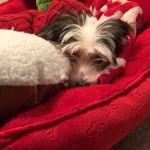 Meet your Posher, Samantha